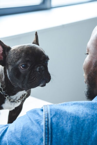 Pets in the Office: What’s the Best Policy?